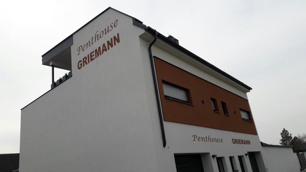 Penthouse Griemann 2 Fuer Max 4 Personen Mit Eigener Grosser Dachterrasse Zum Relaxen! Illmitz Eksteriør billede